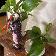 フィギュア鬼滅の刃「禰󠄀豆子」の画像