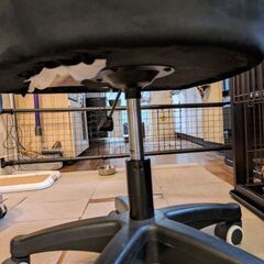 上下に動かせる椅子の画像