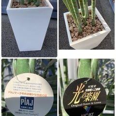 【お値下げOK】大型インテリア フェイクグリーン 光触媒人工植物 光の楽園 高さ約270cmの画像