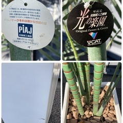 【お値下げOK】大型インテリア フェイクグリーン 光触媒人工植物 光の楽園 高さ約260cmの画像