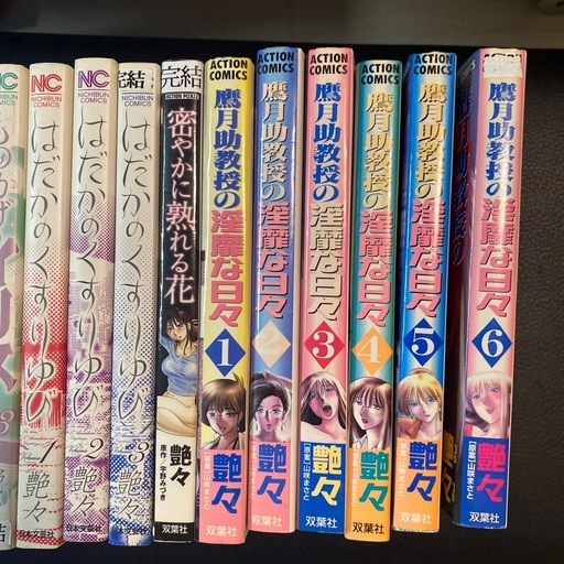 たとえば母が・鷹月教授の淫靡な日々・はだかのくすりゆび　艶々　19冊セット