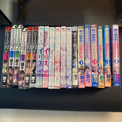 たとえば母が・鷹月教授の淫靡な日々・はだかのくすりゆび　艶々　19冊セット