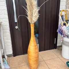 植物　容器セットの画像