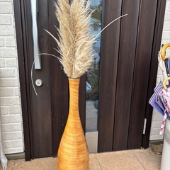 植物　容器セットの画像