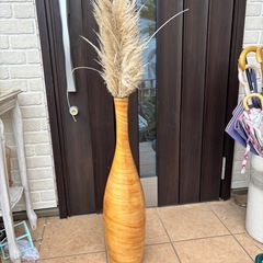 植物　容器セットの画像