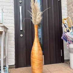 植物　容器セットの画像