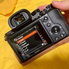 【プロ仕様】中古SONY α7sⅡ 本体+レンズ+新品同様純正バッテリー2個の画像