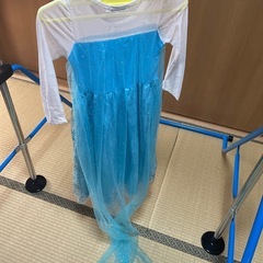 アナ雪エルサドレスの画像