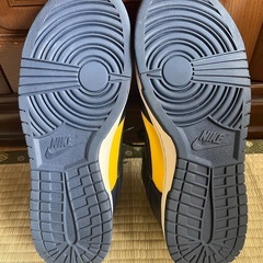 NIKE dunk low Michigan 27cmの画像