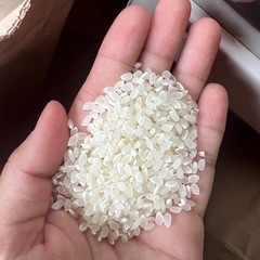 　R7  彩のきずな　玄米　30キロの画像