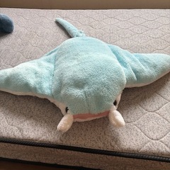 ぬいぐるみ(まとめても可能)の画像