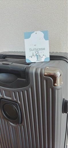 新品未使用【大容量M65L、軽い】キャリーバッグ、ダークグレー
