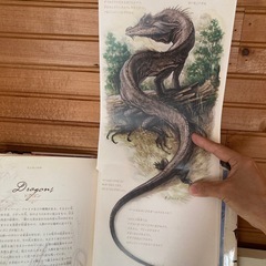 美しい画集！アーサー・スパイグウィックの妖精図鑑 わくわくなイラストと文章ですの画像