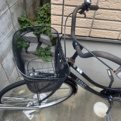 【無料／引き取り限定】長年乗っていない自転車お譲りします🚲の画像