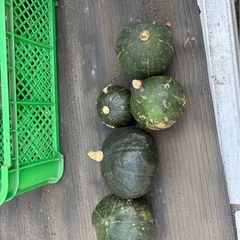 かぼちゃの画像