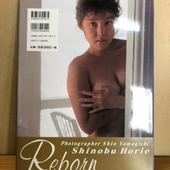 堀江しのぶ 写真集 ② Rebornの画像
