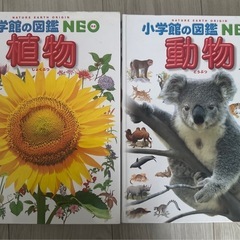 小学館Neo10冊セット の画像