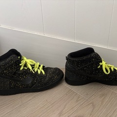 【28】【激レア】NIKE DUNK HIGH PREMIUM TRACK PACKの画像