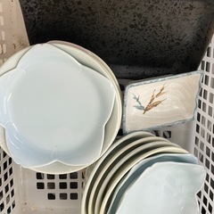 皿るいの一式の画像