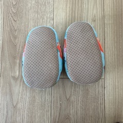 パウパトスリッパの画像