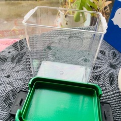 ★シュガー入れと保存容器★2点セット！の画像