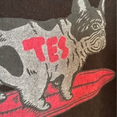 TES エンドレスサマーサイズLＴシャツの画像