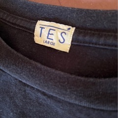 TES エンドレスサマーサイズLＴシャツの画像