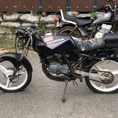 HONDA NS50Fの画像
