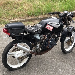 HONDA NS50Fの画像