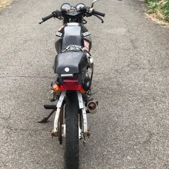 HONDA NS50Fの画像