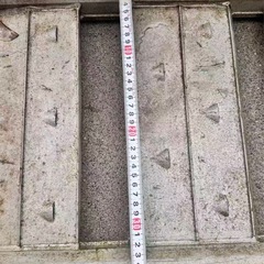 アルミブリッジ の画像
