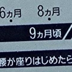 抱っこ紐　コンビ　ニンナナンナ  ヘッドサポート付きの画像