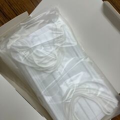 未使用マスク 50枚入り レギュラーサイズ約95×175㎜ 非医療用の画像