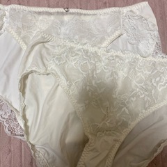 下着 ブラジャー ショーツ 3点セットの画像