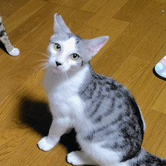 白いお胸にキューンです