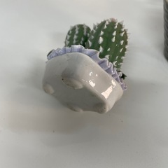 サボテン陶器と造花の画像