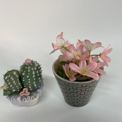 サボテン陶器と造花の画像
