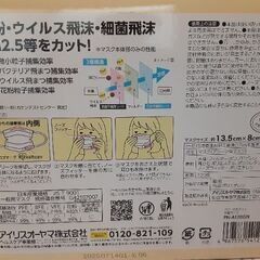 プリーツ型マスク（学童用）の画像