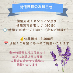 薬に頼る前のあなたに合うセルフケアアドバイス（60分)の画像