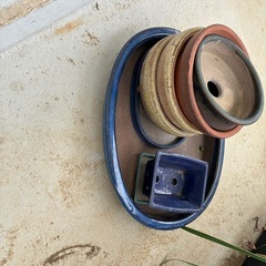 鉢　　まとめての画像