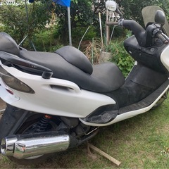 コマジェ
の画像