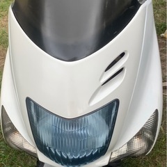 コマジェ
の画像