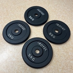 IROTEC アイアンプレート 5kg 4枚セットの画像