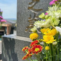 多磨霊園・小平霊園限定 🙏お墓参りの代行、お墓のお掃除を行う便利...
