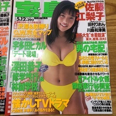 宝島 3冊まとめて 柳明日香 釈由美子 佐藤江梨子の画像