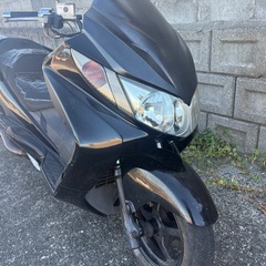 スカイウェブタイプSS
の画像