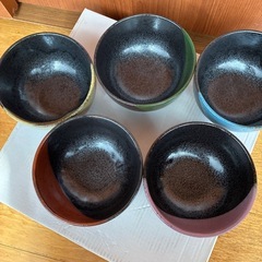 新品5色　多様丼セットの画像