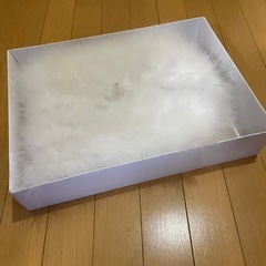 未使用　成人式　振袖　ショールの画像