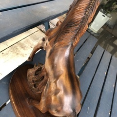 キレイな馬の画像