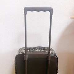 キャリーケースの画像